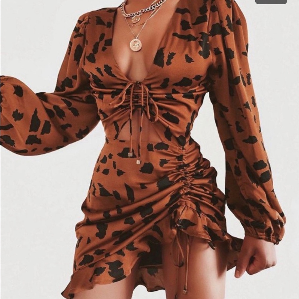 Animal print mini dress